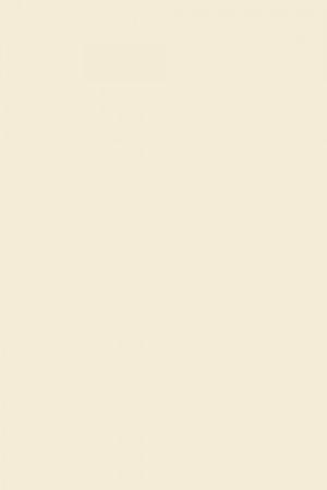 FARROW AND BALL LIME WHITE NO. 1 PAINT